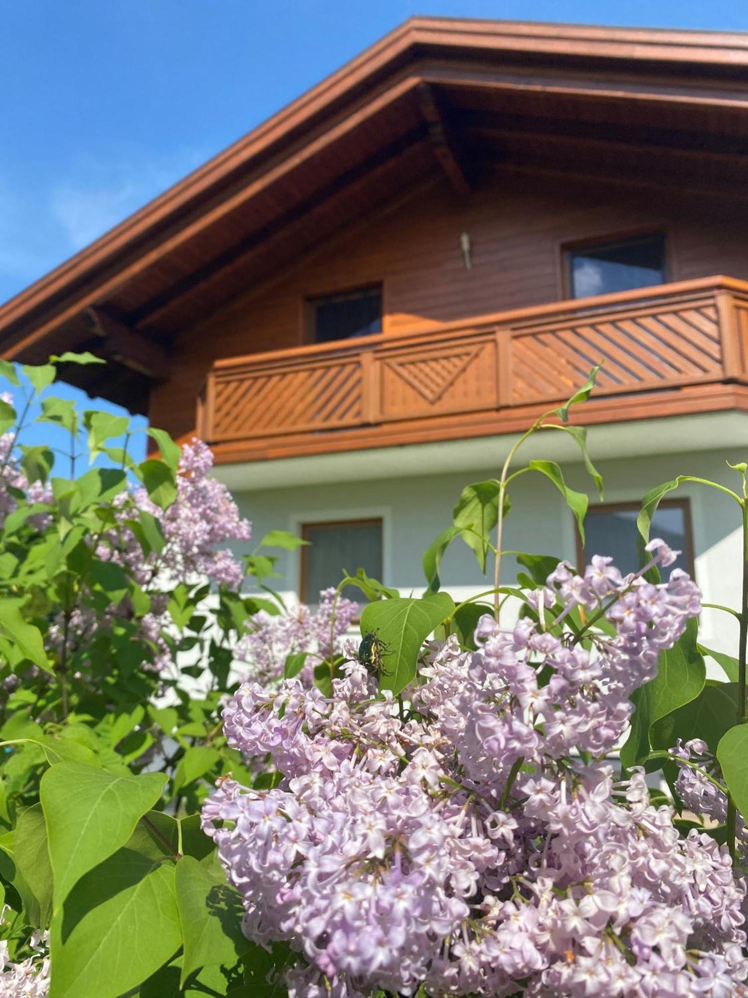 Chalet Panoramablick Zell Am See Villa Ngoại thất bức ảnh